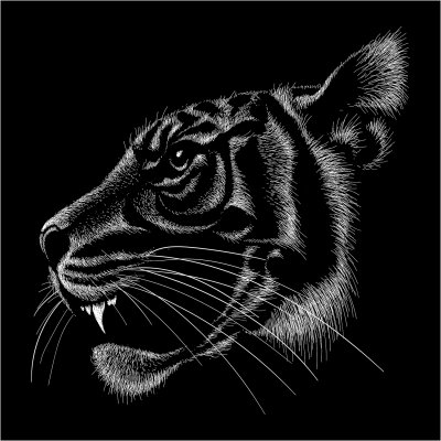 постеры Белый тигр