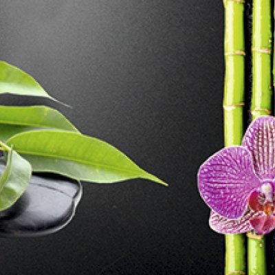 фотообои Розовые орхидеи и бамбук