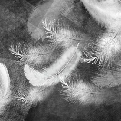 фотообои Серые перья
