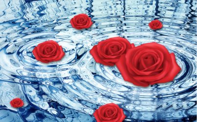 фотообои Алые розы в воде