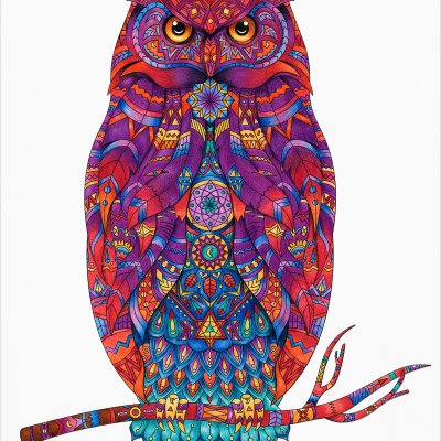 постеры Разноцветная сова