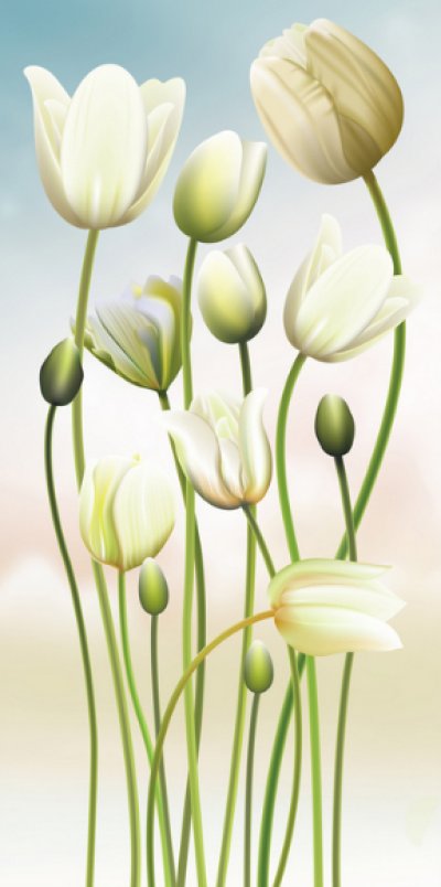 фотообои Стройные тюльпаны