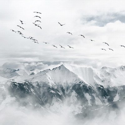 фотообои Горы в белом тумане