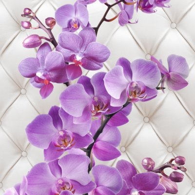фотообои Орхидеи на белой коже 3Д