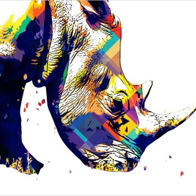 постеры Арт носорог