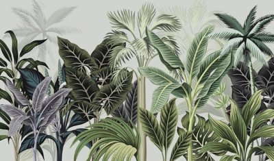 фотообои Зеленые пальмы